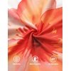 image:imageZESICA Womens Summer Floral Halter Neck Sleeveless Maxi DressOrange